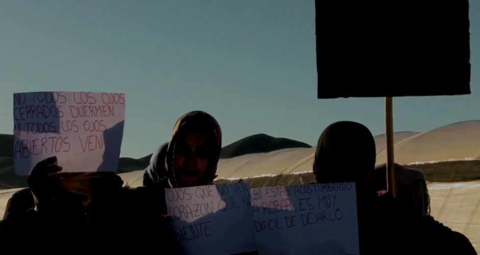 Six women in a desert landscape hold up protest signs